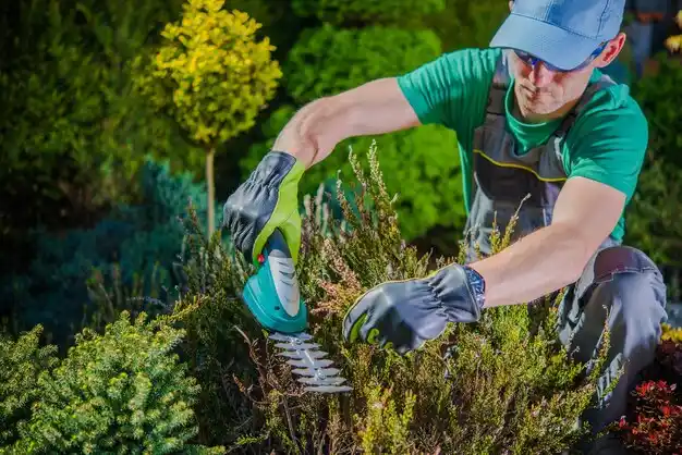 landscaping services Ridgeway